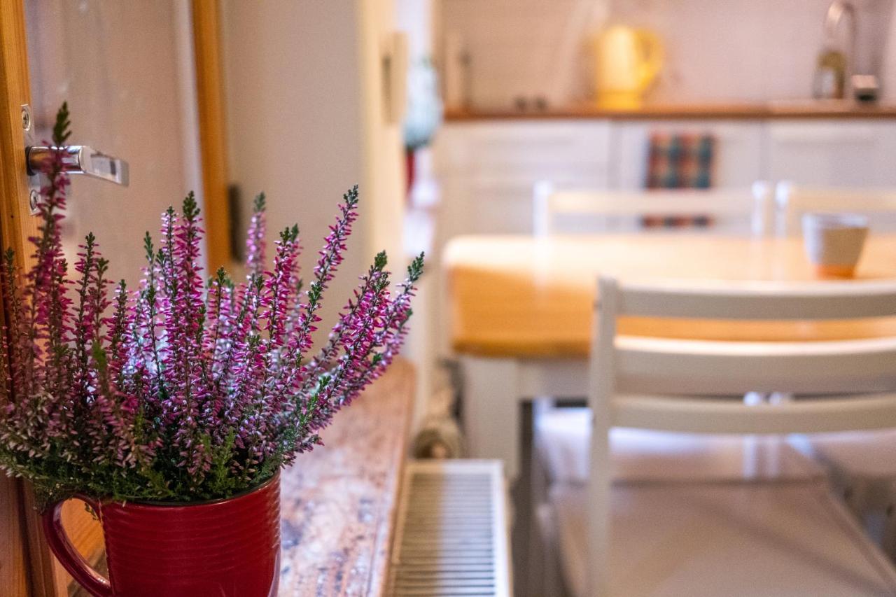 Dream Stay - Bright 2-Bedroom 2-Floor Old Town Apartment Tallinn Eksteriør bilde